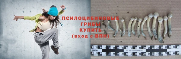гидропоника Елабуга