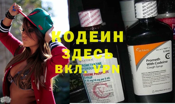гидропоника Елабуга