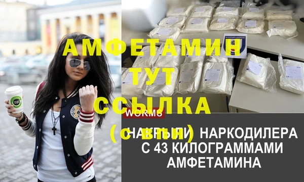 гидропоника Елабуга
