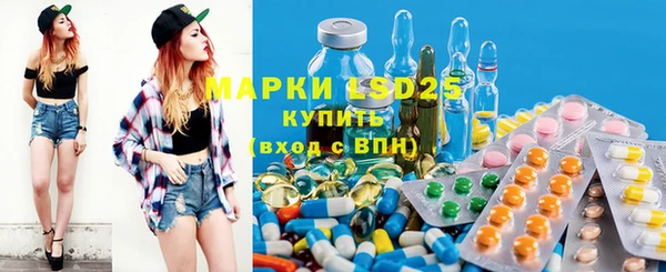 гидропоника Елабуга
