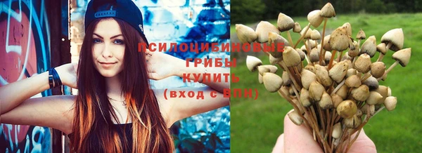 гидропоника Елабуга